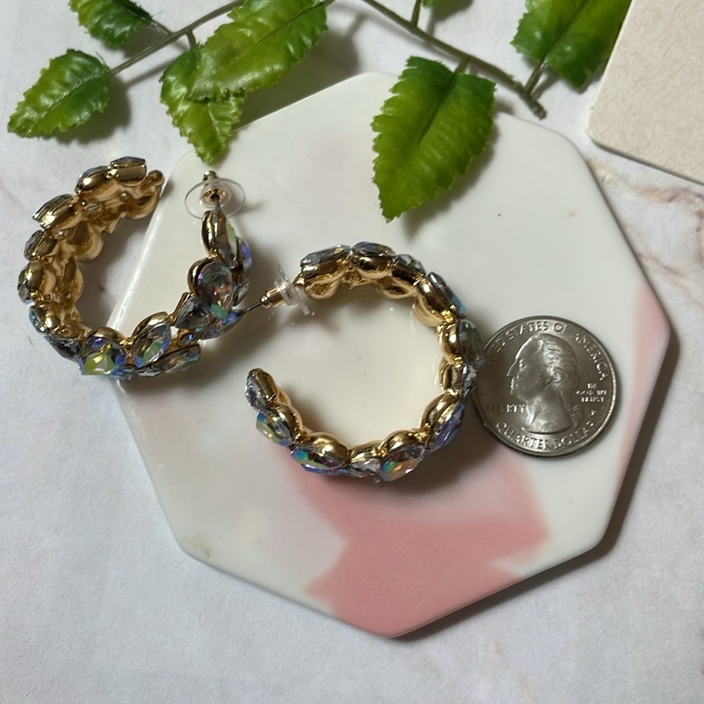 Crystal Hoop Earrings - Picture 10 of 14